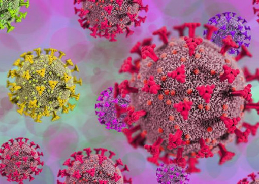 «Омикрон»: что известно о новом варианте коронавируса? 